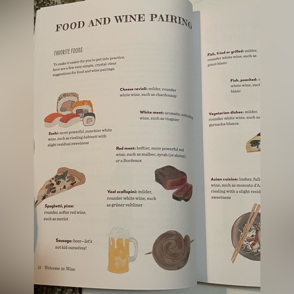 Welcome to Wine: An Illustrated Guide to All You Really Need to Know - Picture 6 of 6